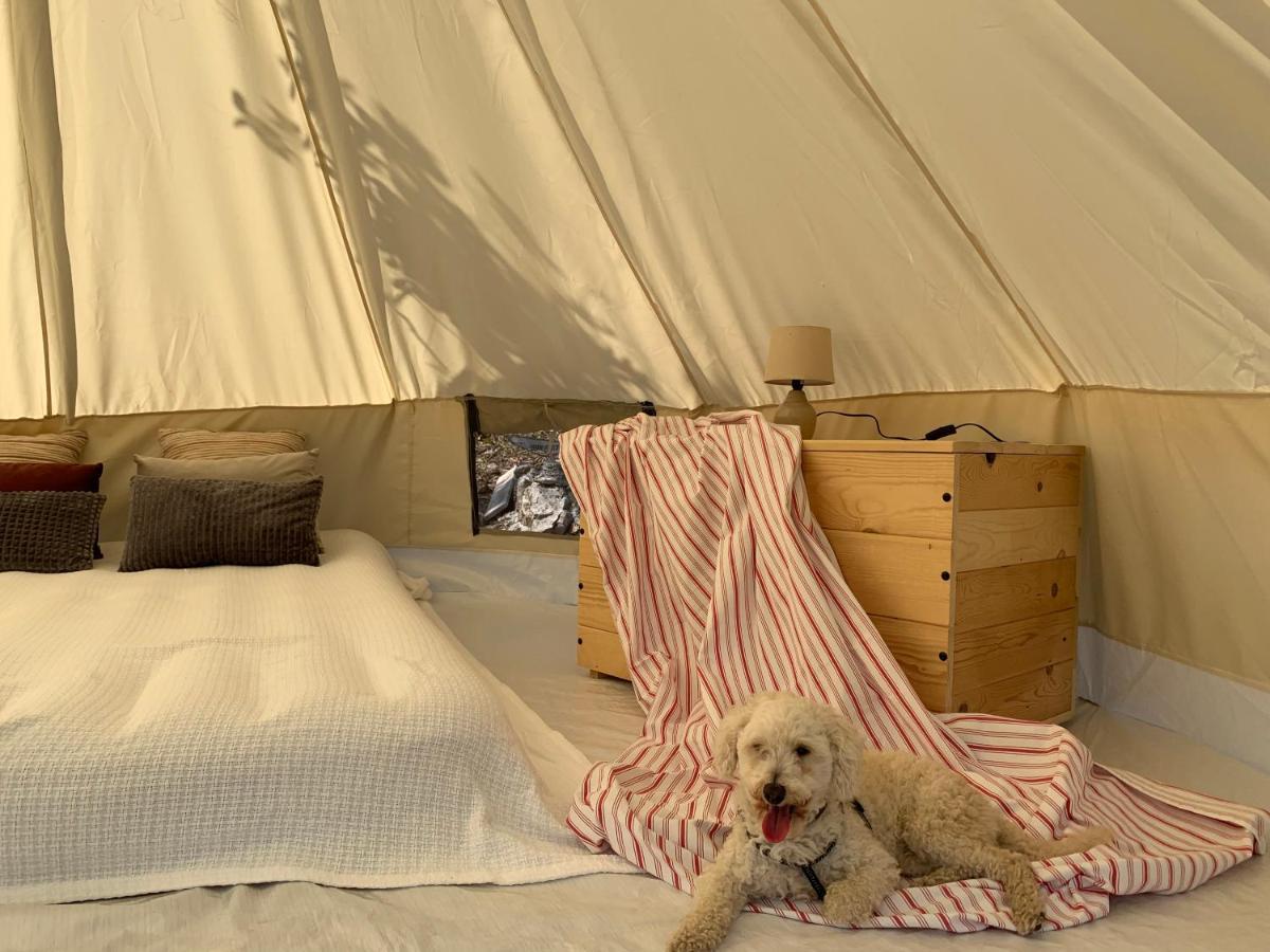 Bigova Glamping Hotel Kotor Eksteriør billede