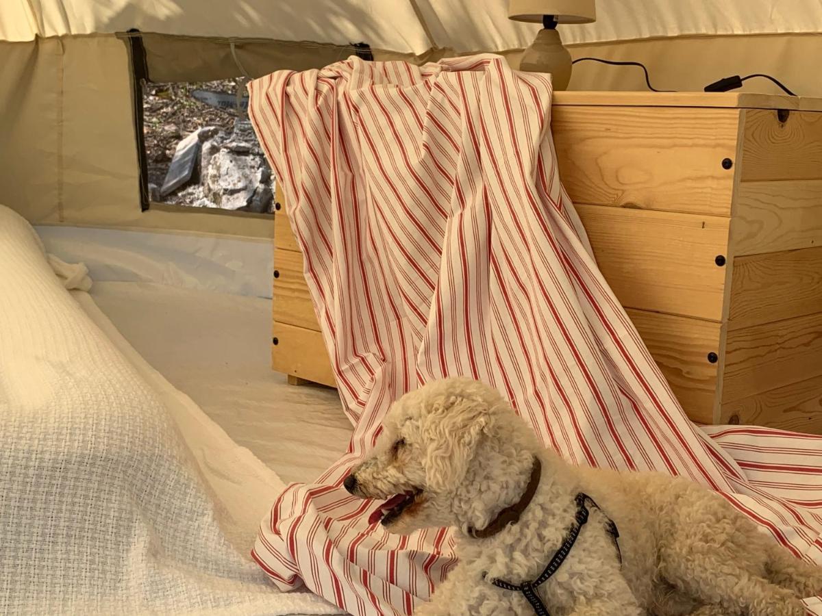 Bigova Glamping Hotel Kotor Eksteriør billede