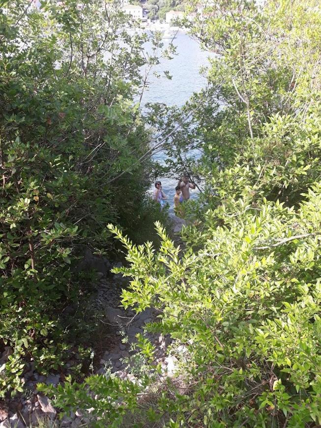 Bigova Glamping Hotel Kotor Eksteriør billede