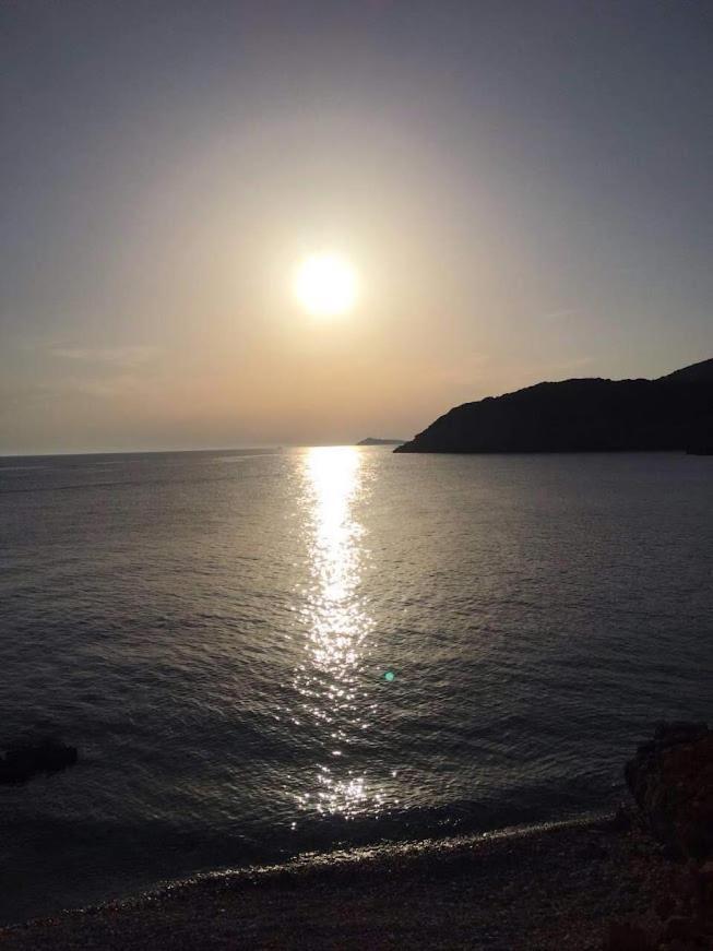 Bigova Glamping Hotel Kotor Eksteriør billede